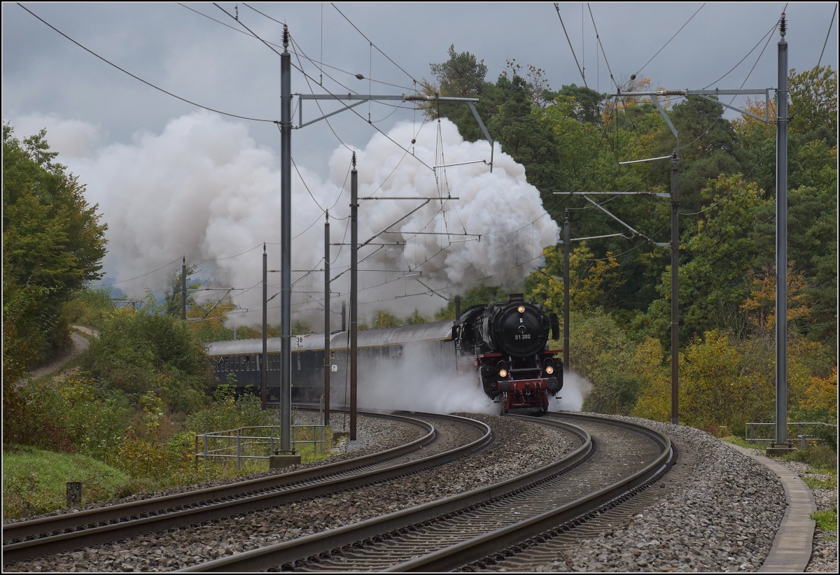 Brauereibesuch im Feldschlösschen... 01 202 mit ihrem Zug auf Bergfahrt am Bözberg kurz vor Bözenegg. Oktober 2020. 
