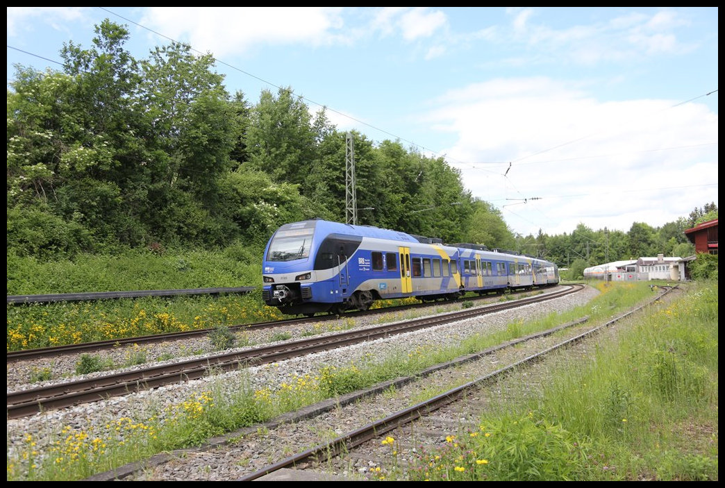 BRB ET 323 fährt hier mit einer Doppeleinheit als RE nach Salzburg am 26.5.2022 um 12.52 Uhr durch den aufgelassenen Bahnhof Rimsting.
