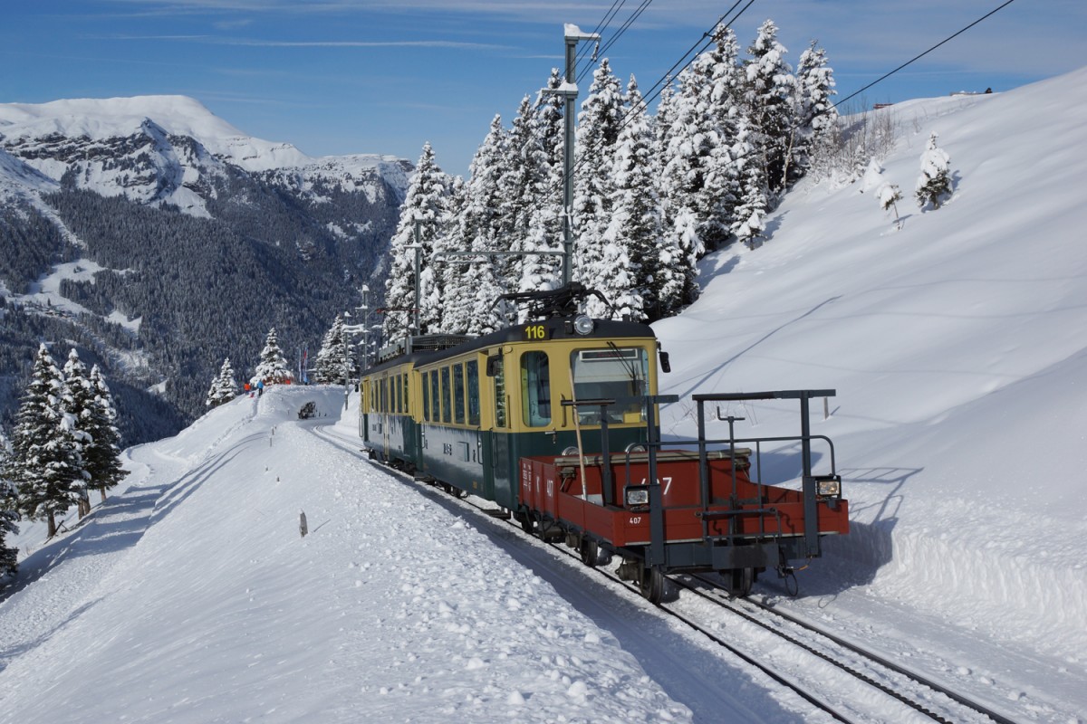 Bt 267 und BDhe 4/4 110 befinden sich am 18.01.2015 unterhalb der Wengernalp.