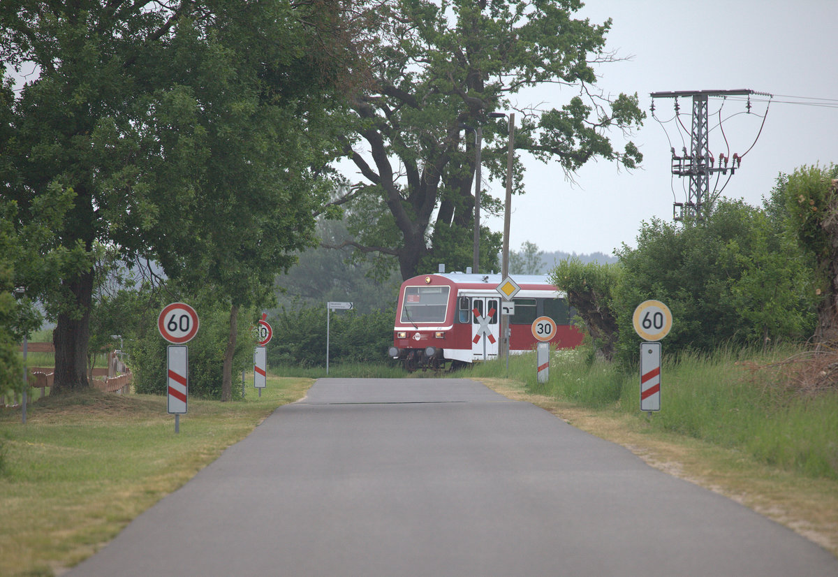 BÜ und mächtige Eichen bei Groß Quassow. Ein TW der Baureihe 504 fährt gerade ins Bild.18.05.2018 10:19 Uhr.