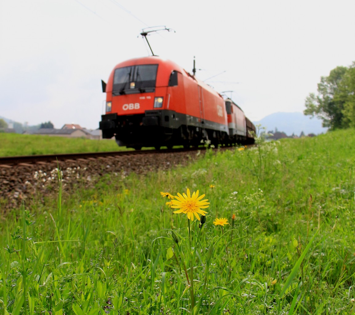 Bullen auf der Weide sind ja Grundsätzlich nichts abwegiges. Wenn der Bulle alias  Taurus  alias Reihe 1116 auf der Wiese steht ist es doch vielleicht nicht so gut . Aber nur keine Angst der  Gerät  war und blieb auf dem Gleis . 27.04.2014