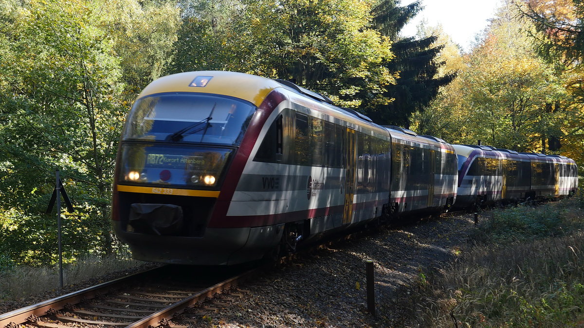 Bunt wie das Herbstlaub kommt die Städtebahn Sachsen mit den beiden Desiro 642 333 und 642 829 als RB72 durch den Wald am Geisingberg auf der Fahrt von Heidenau nach Kurort Altenberg; Müglitztalbahn, 13.10.2019
