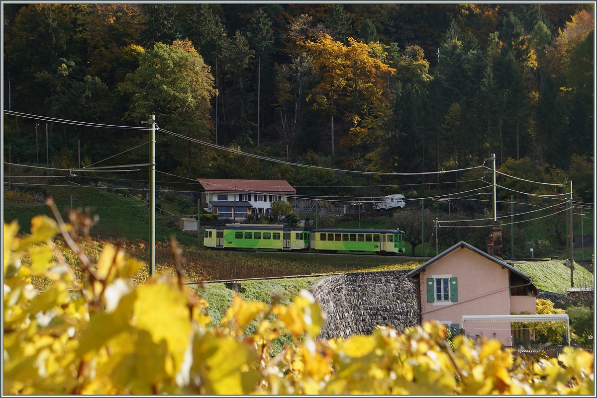 Bunter Herbst im Chablais: Oberhalb von Aigle windet sich ein ADS  Regionalzug in weiten Schleifen bergwärts.
3. Nov. 2014 