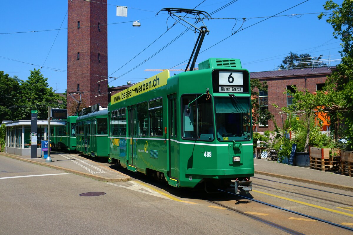 BVB Basel Schindler Cornichon Be4/4 Wagen 499 am 11.07.23 in Basel
