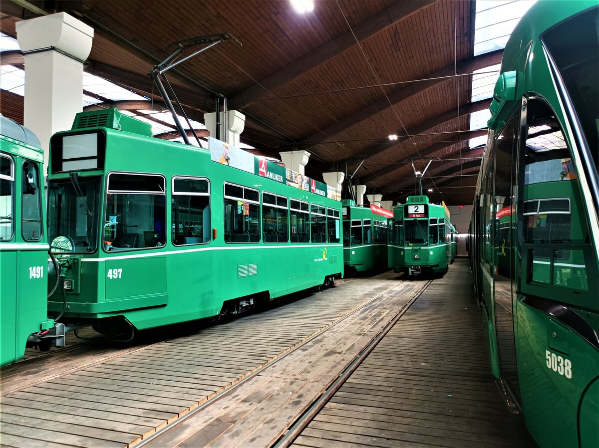 BVB Be 4/4 497 am 17.07.22 im Museumsdepot Dreispitz 