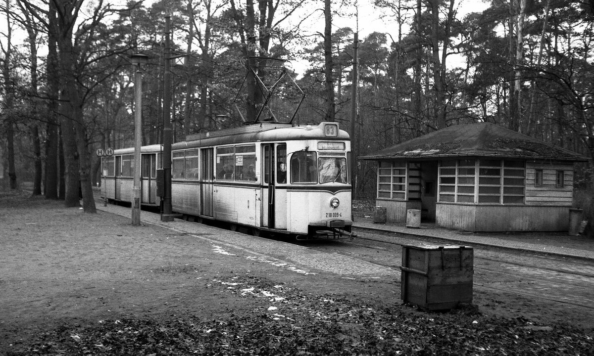 BVB Ost-Berlin__Zug der Linie 83 mit Tw 218 009-4 [TDE,WB Gotha 1962; +1989;lt.'berlin-straba.de'] in Richtung Mahlsdorf. (Vermutlich im Waldgebiet 'Wolfsgarten' ?)__28-01-1978