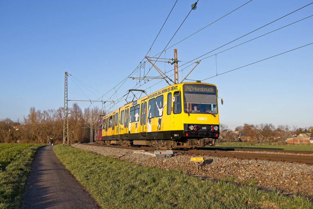 BVB-Werbewagen 320 und Wagen 319 bei der Ausfahrt aus der Haltestelle Grevel (26.02.2022)