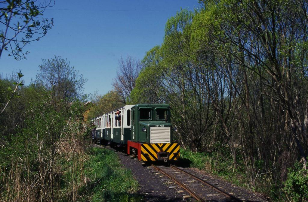 C 21-103, eine C 60 Type, der Waldbahn Almamellek - Sakret mit einem
von mir organisierten Sonderzug der IPA Kreis Steinfurt am 17.4.1998.
Der Zug hat hier gerade Almamellek verlassen und fhrt durch ein Sumpfgebiet
Richtung Sasret.