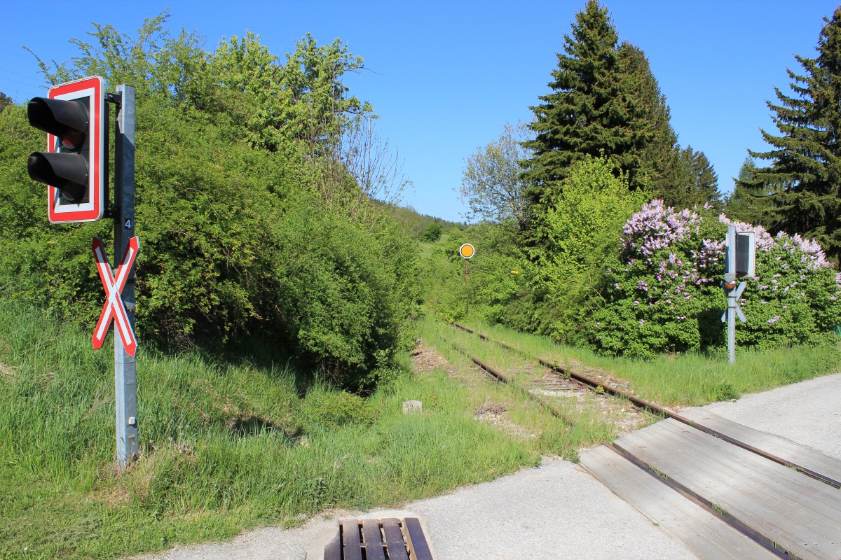 Ca. bei Km 32,7 nahe der Haltestelle Kaumberg Markt an der Leobersdorferbahn mit Blickrichtung Osten schillert ein Vorsignal durch den grünen Dickicht, Mai 2011