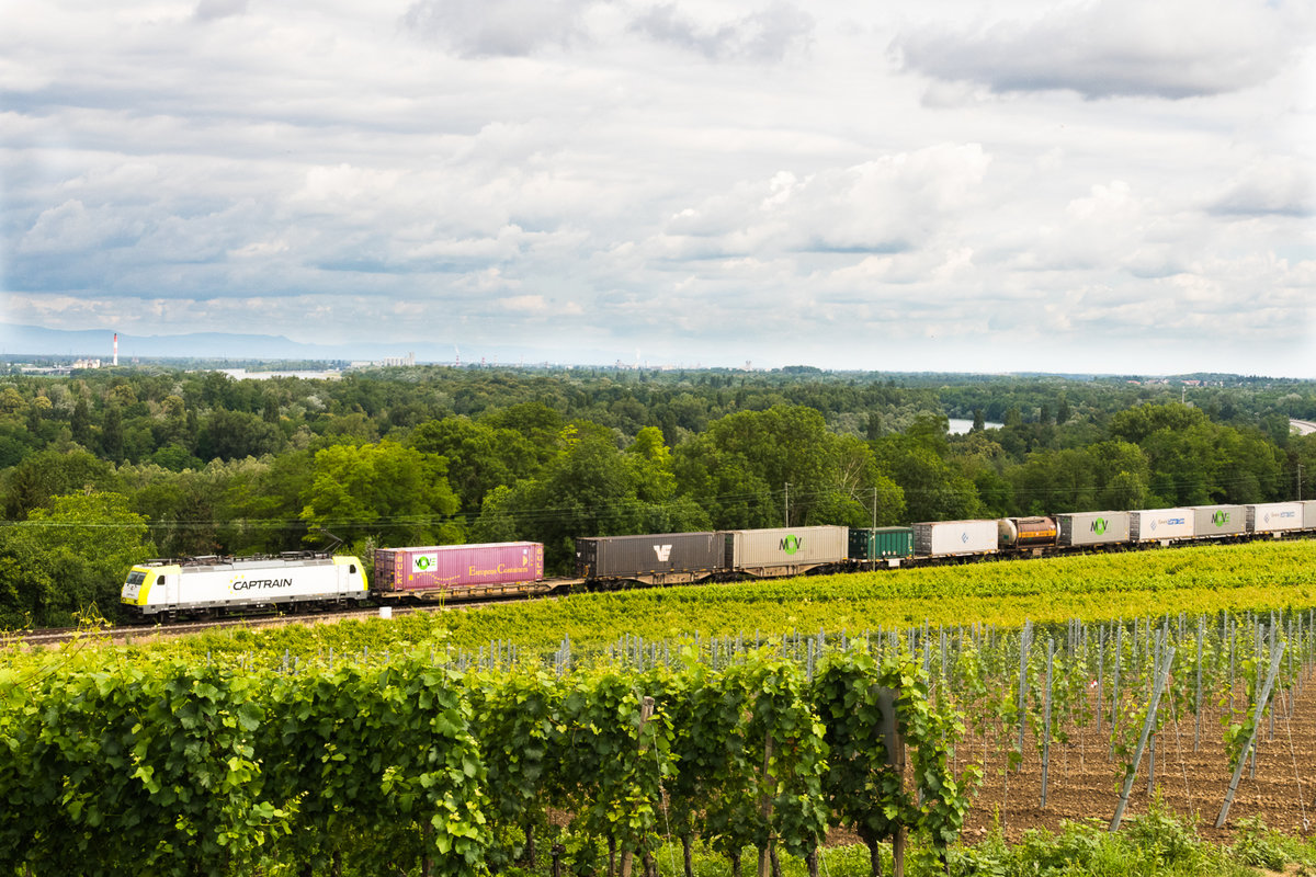 Captrain 186 151 - 7 eilt mit ihren Containerzug  oberhalb der Rheinebene in den Rebbergen zwischen Rheinweiler und Bad Bellingen  Basel entgegen. 0307.2020 