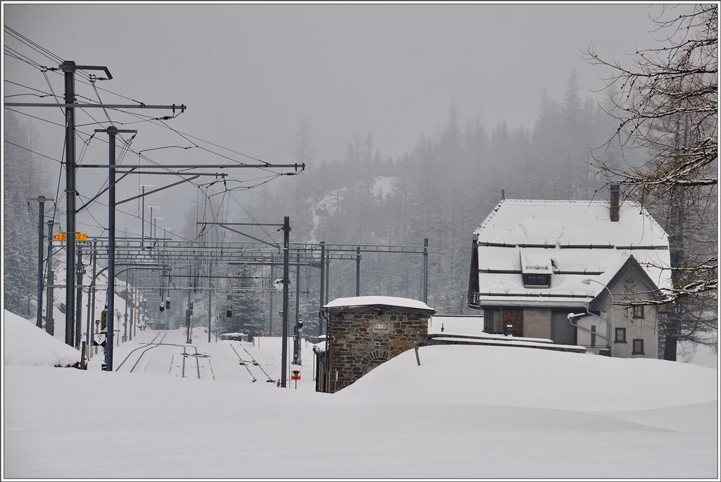 Cavaglia im Winterschlaf. (25.02.2016)