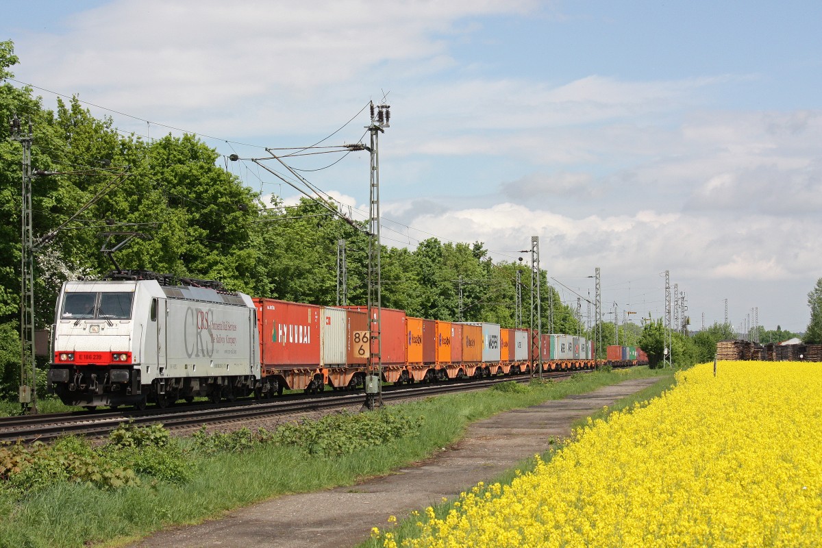 CBR/CRS E186 239 am 9.5.13 mit einem Containerzug in Menden.