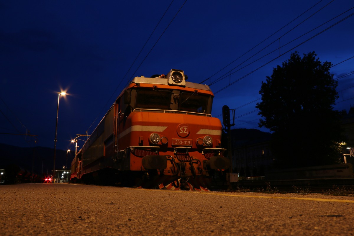Celje bei Nacht . Ein Brigitten Pärchen ( 363 ) wartet auf ihre nächsten Einsätze am kommenden Morgen. 15.08.2015 