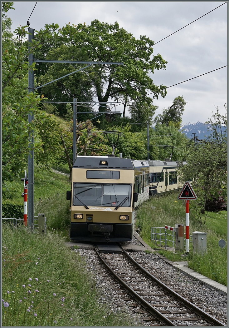 CEV GTW Be 2/6 in Doppeltraktion kurz vor St-Légier.
16. Mai 2016