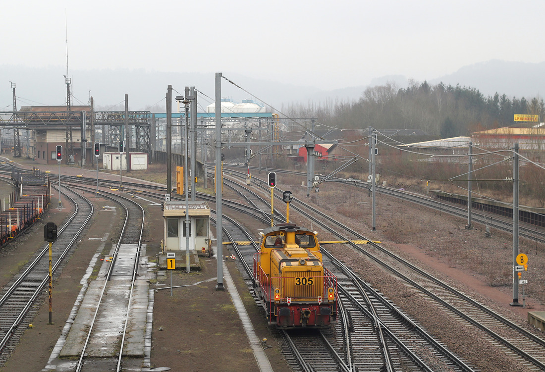 CFL Cargo 305 // Güterbahnhof Esch-Belval // 12. Januar 2017