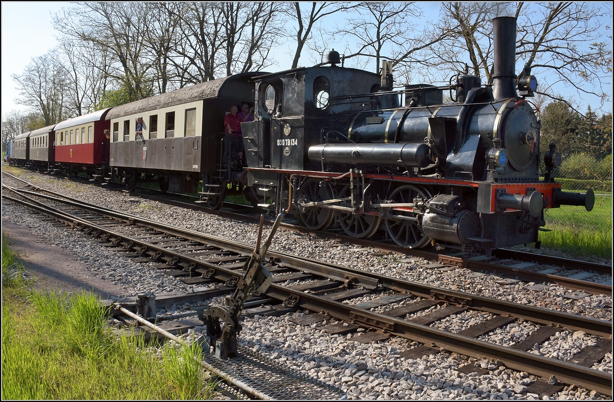 CFTR, die charmante Museumsbahn im Neubreisacher Urwald. Ausfahrt aus Volgelsheim für 030 TB 134  Theodor . An dieser Stelle endet bislang der SNCF-Anteil der Strecke Colmar-Freiburg, für die es aber ernsthafte Überlegungen einer Reaktivierung gibt. Personenverkehr gibt es nur im deutschen Teil der Strecke, bis hier findet im französischen Teil nur noch Güterverkehr und Museumsverkehr statt. April 2019.