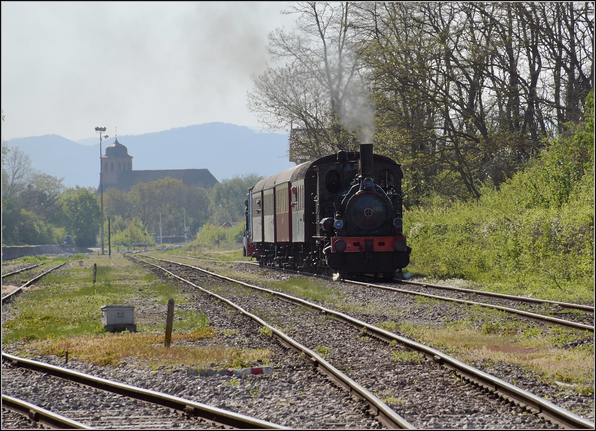 CFTR, die charmante Museumsbahn im Neubreisacher Urwald. Ausfahrt aus Volgelsheim für 030 TB 134  Theodor . Im Gegenlicht eigentlich kaum machbar, aber mit der Kirche Neu-Breisach und den Vogesen im Hintergrund, die einzige Möglichkeit ein bisschen mehr Elsass aufs Bild zu bringen. April 2019.