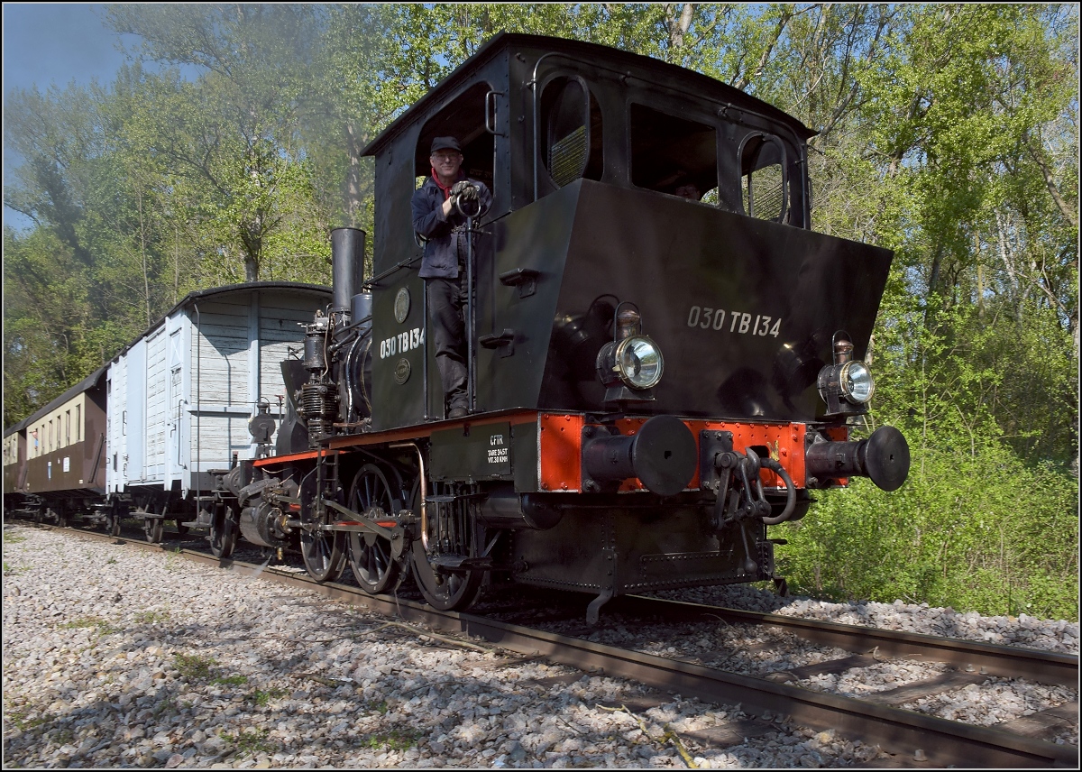 CFTR, die charmante Museumsbahn im Neubreisacher Urwald. Vorbeifahrt 030 TB 134  Theodor  in der Botanik entlang des Rheinseitenkanals. April 2019.