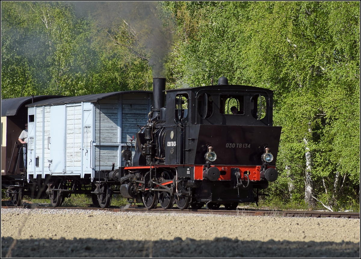 CFTR, die charmante Museumsbahn im Neubreisacher Urwald. Vorbeifahrt 030 TB 134  Theodor  entlang des Rheinseitenkanals. April 2019.