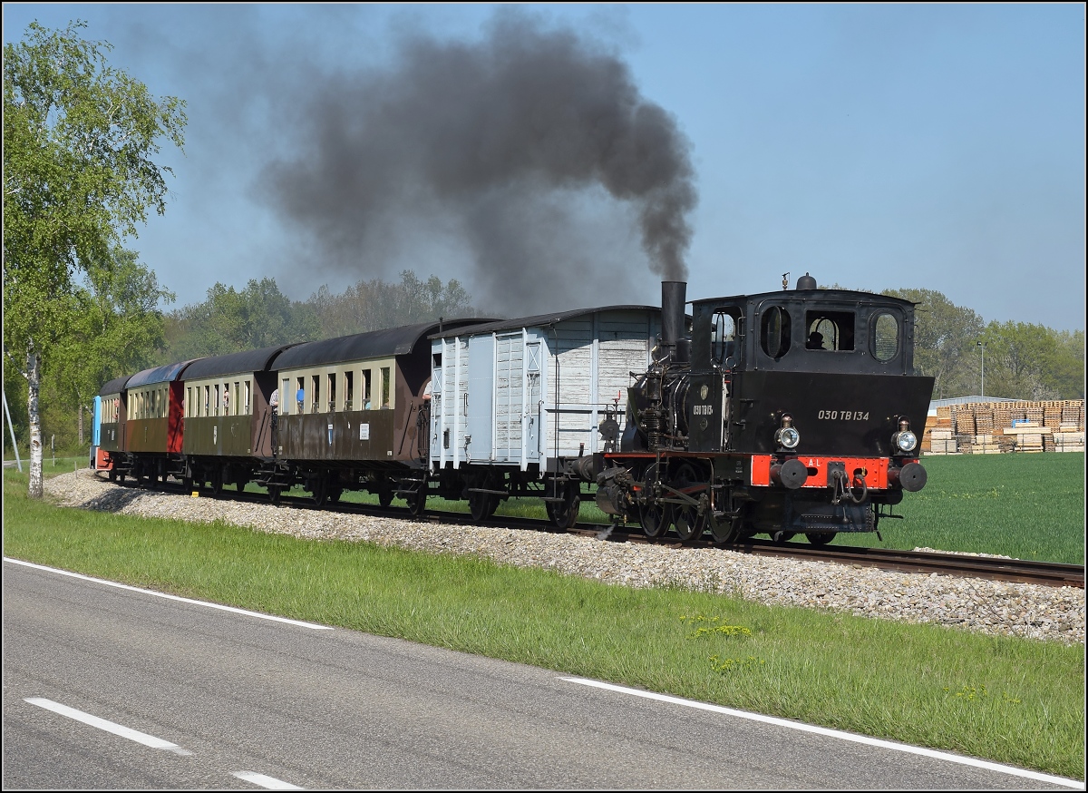 CFTR, die charmante Museumsbahn im Neubreisacher Urwald. Vorbeifahrt 030 TB 134  Theodor  in der Botanik entlang des Rheinseitenkanals. April 2019.