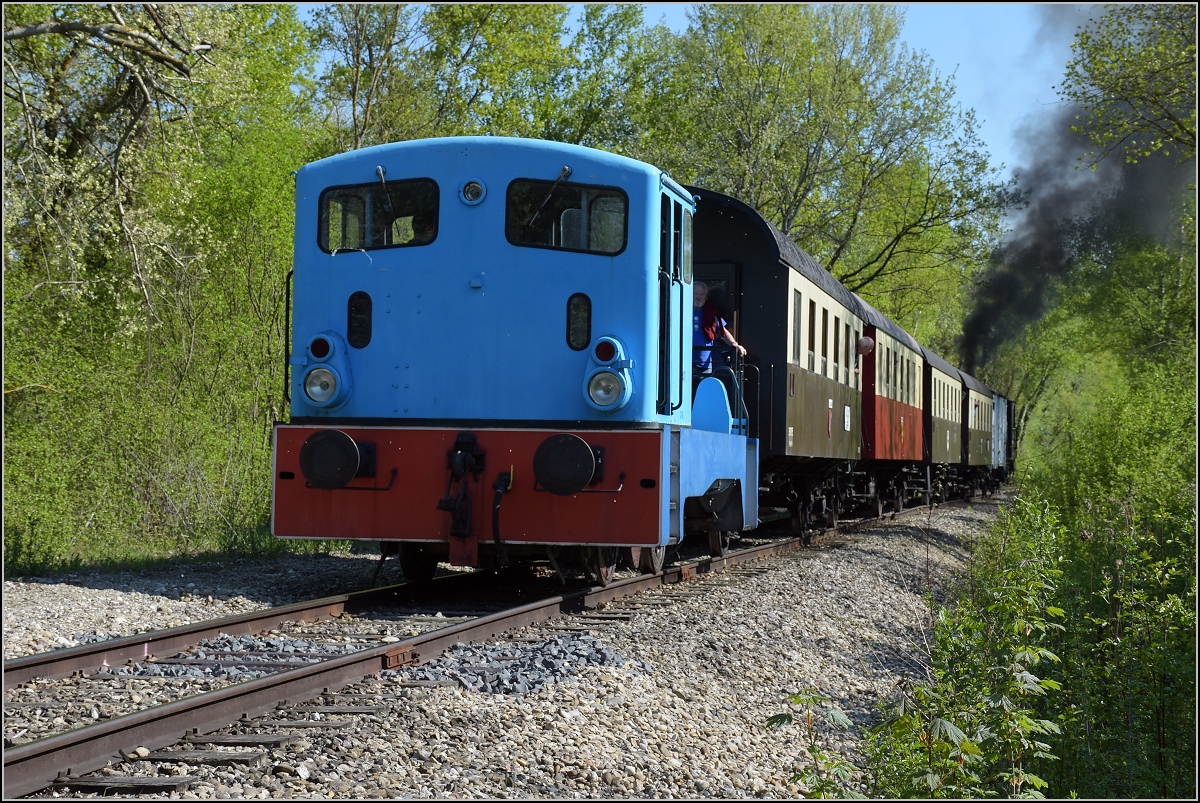 CFTR, die charmante Museumsbahn im Neubreisacher Urwald. Abfahrt des Museumszuges in Sanssouci. Die LKM V 22 mit Orginalfabriknummer 262411 schiebt nach. Artzenheim, April 2019.