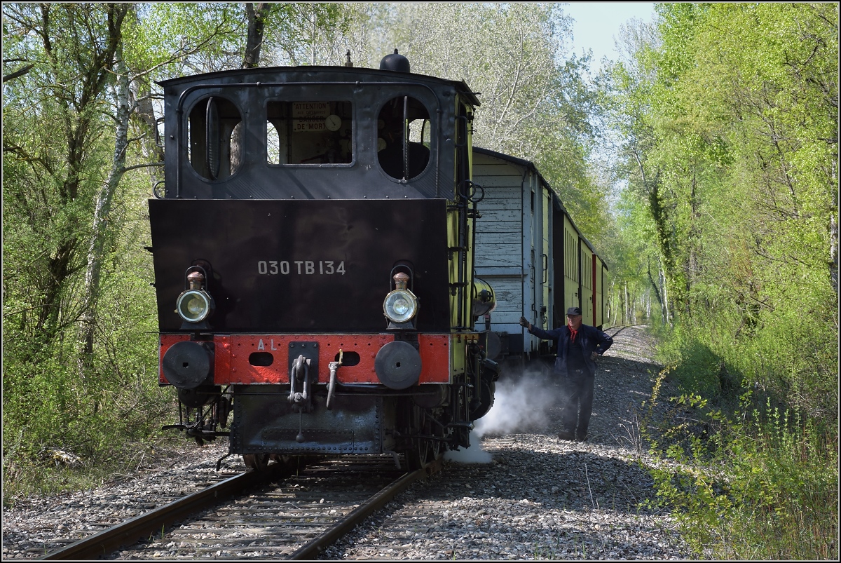 CFTR, die charmante Museumsbahn im Neubreisacher Urwald. Tausch von 030 TB 134  Theodor  und LKM 262411 an der Haltestelle Sanssouci, damit die Dampflok auf der Fahrt mit den Fahrgästen vorne steht. Artzenheim, April 2019.