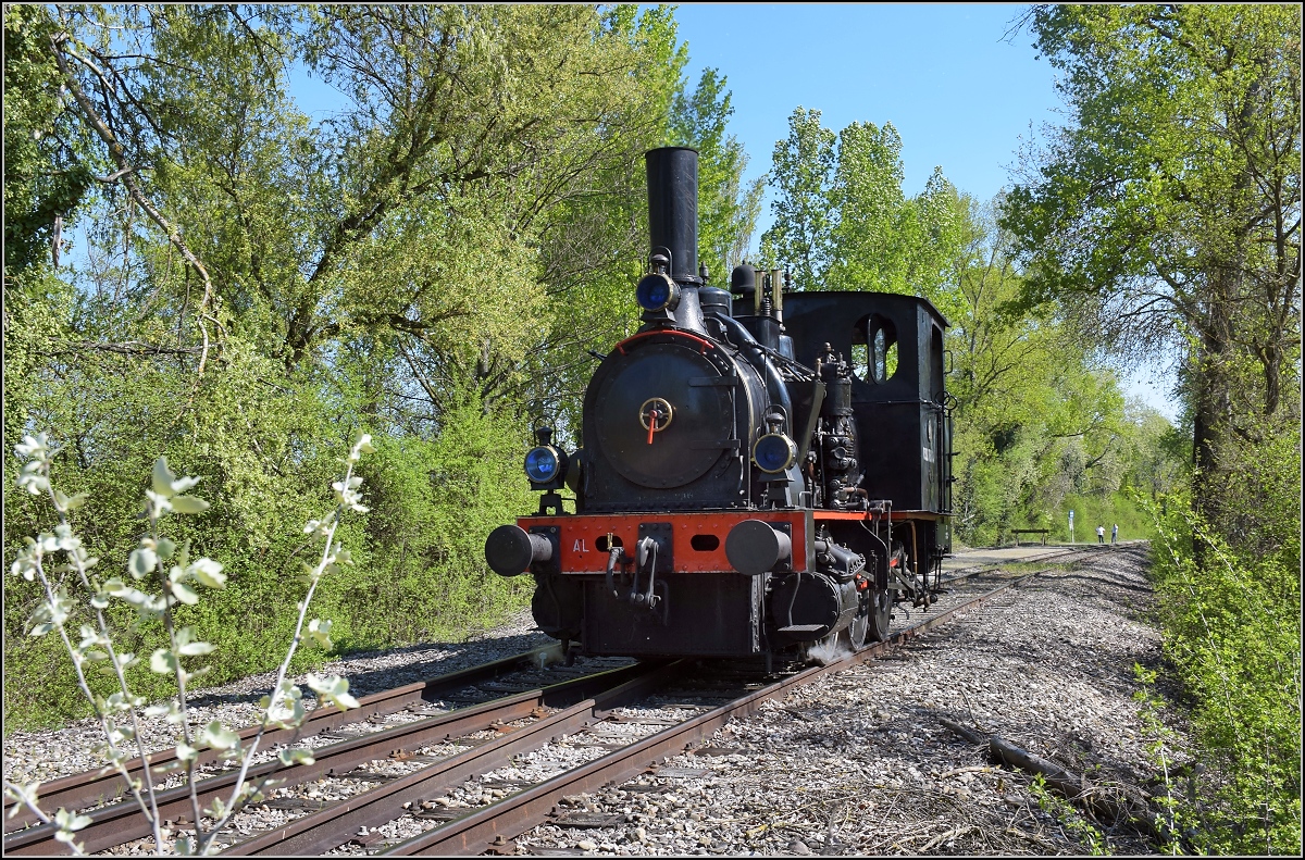 CFTR, die charmante Museumsbahn im Neubreisacher Urwald. Tausch von 030 TB 134  Theodor  und LKM 262411 an der Haltestelle Sanssouci, damit die Dampflok auf der Fahrt mit den Fahrgästen vorne steht. Artzenheim, April 2019.