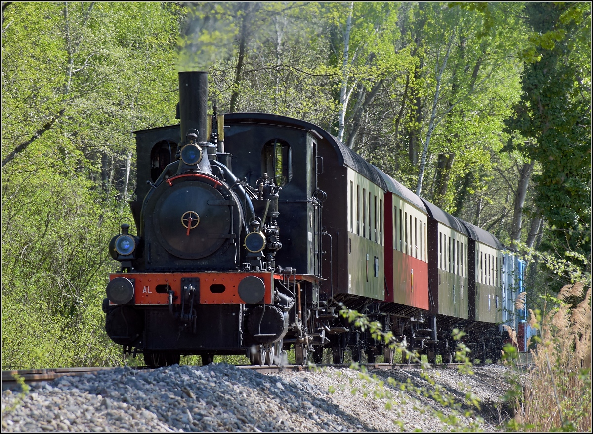 CFTR, die charmante Museumsbahn im Neubreisacher Urwald. Fahrt des Museumszuges zur Bereitstellung nach Sanssouci mit 030 TB 134  Theodor . Baltzenheim, April 2019.