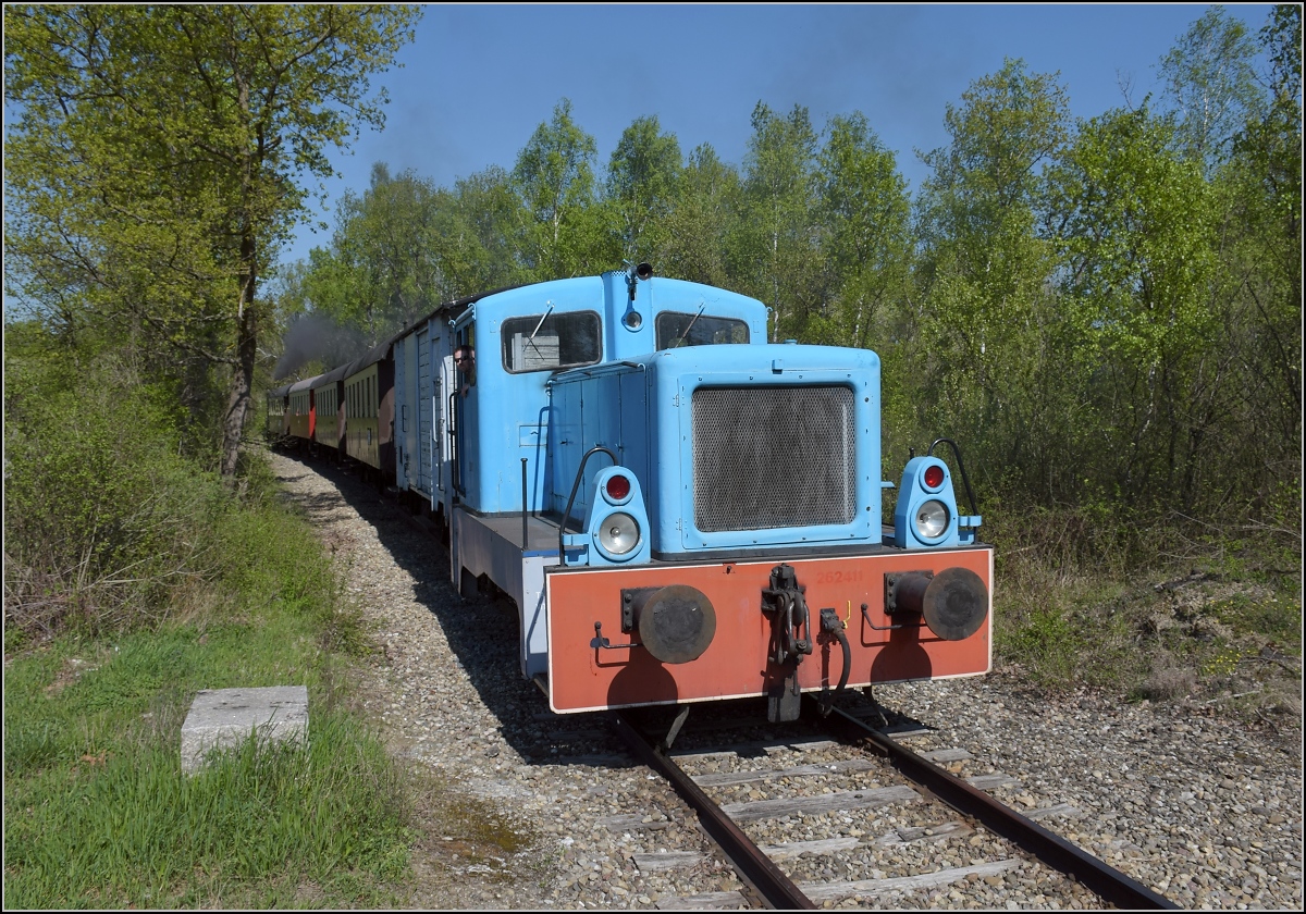 CFTR, die charmante Museumsbahn im Neubreisacher Urwald. Fahrt des Museumszuges zur Bereitstellung nach Sanssouci. Die LKM V 22 mit Orginalfabriknummer 262411 schiebt nach. Baltzenheim, April 2019.