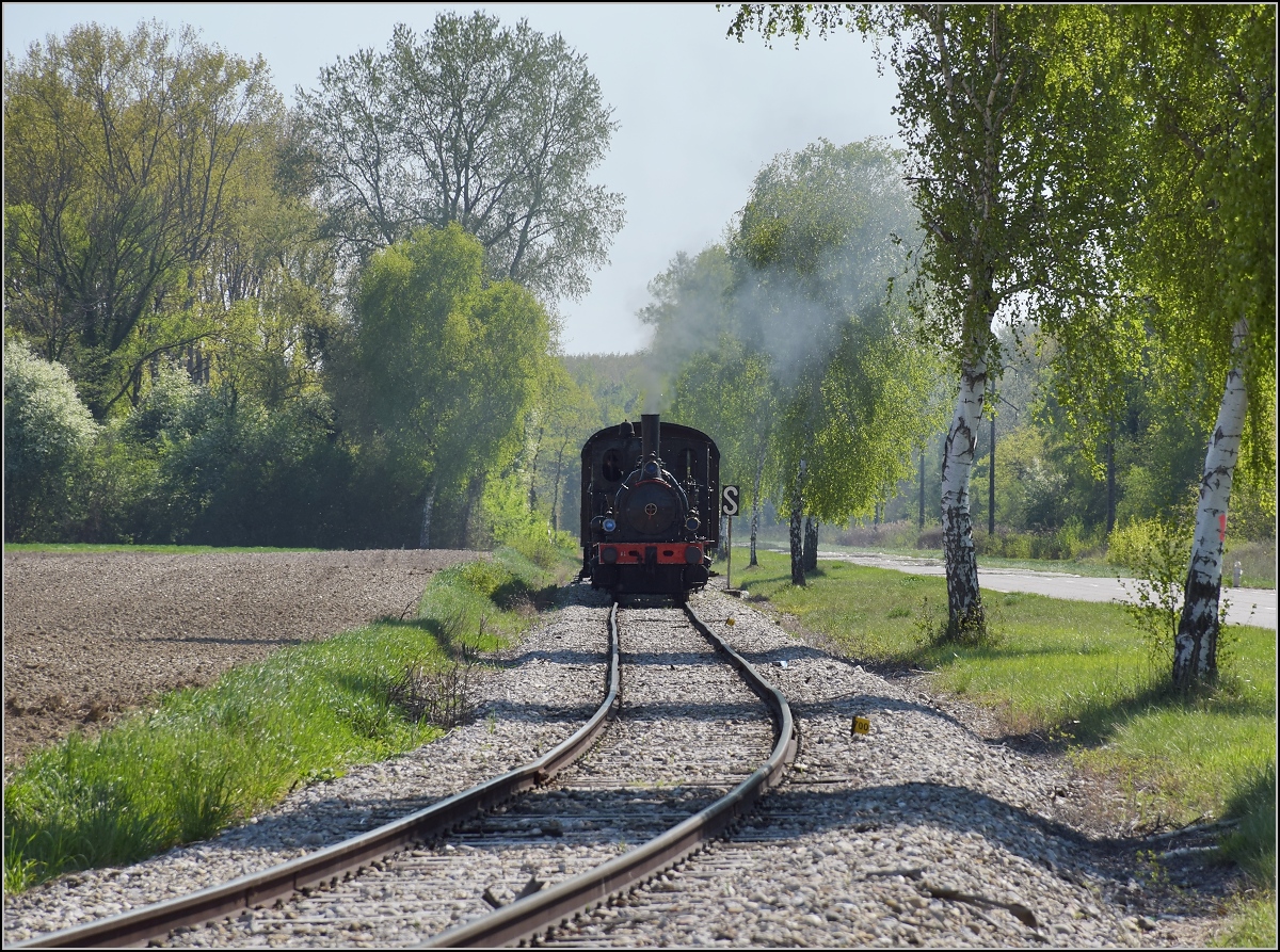 CFTR, die charmante Museumsbahn im Neubreisacher Urwald. Fahrt des Museumszuges zur Bereitstellung nach Sanssouci mit 030 TB 134  Theodor . Kunheim, April 2019