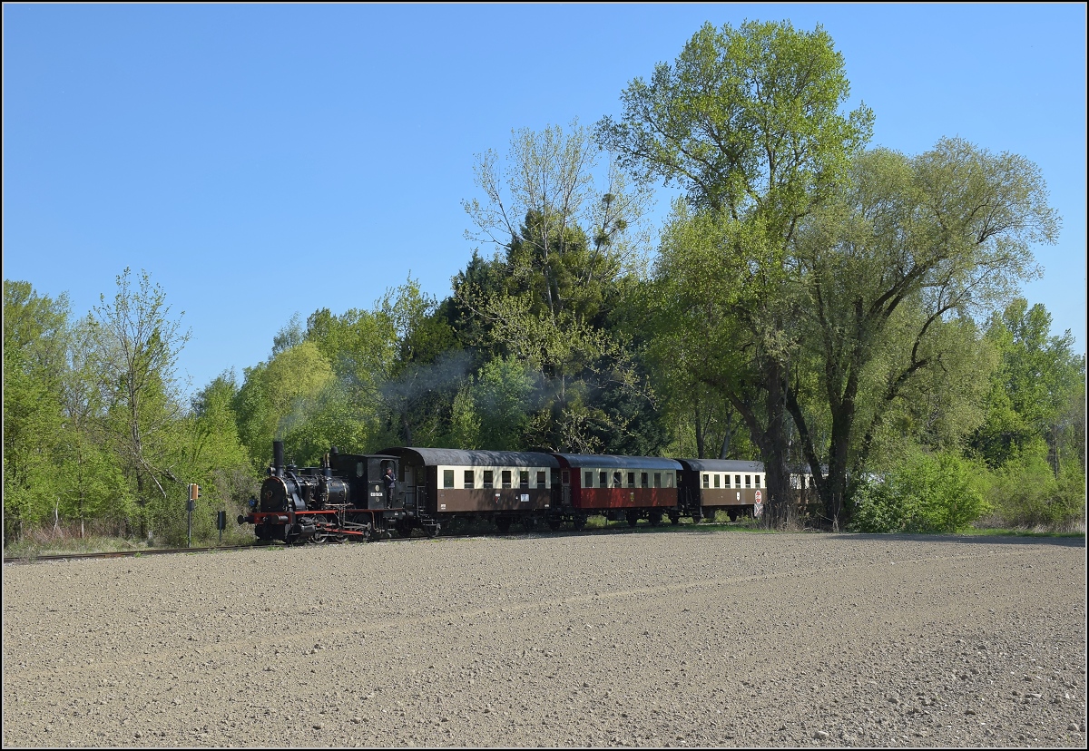 CFTR, die charmante Museumsbahn im Neubreisacher Urwald. Fahrt des Museumszuges zur Bereitstellung nach Sanssouci mit 030 TB 134  Theodor . Kunheim, April 2019