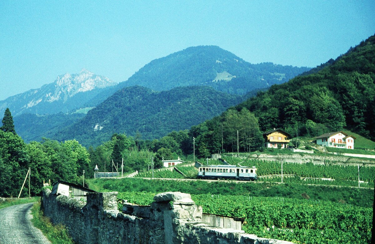 Chemin de fer Aigle–Sépey–Diablerets (ASD)_Ein Tw BCFe 4/4 in den Weinfeldern bei Aigle_08-09-1976