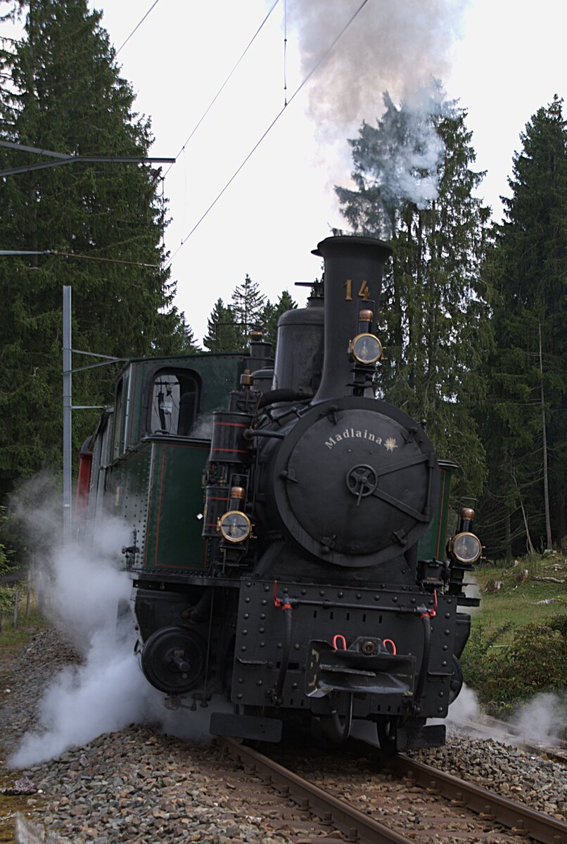 CJ Chemins fer du Jura La Traction: G 3/4 14  Madlaina  (SLM 1902, ex RhB, ex Dampflok-Verein Appenzellerbahnen) + J 316 + WR 777 + BR 779, Zug Bollement-Saignelégier, private Veranstaltung mit Verpflegung und Zugüberfall, Anfahrt nach Signalhalt, Pré-Petitjean, 23. August 2025.