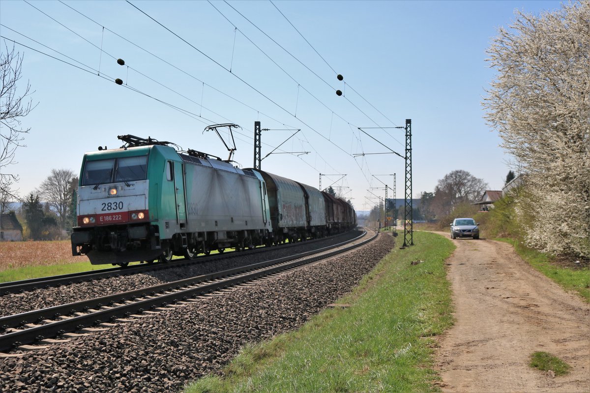 COBRA 2830 (186 222) mit gemischten Güterzug am 07.04.18 bei Niederwalluf (rechte Rheinstrecke) 