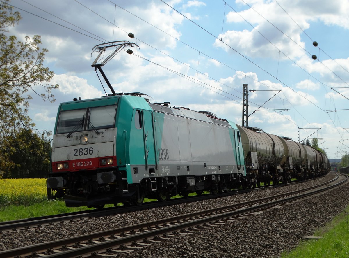 COBRA 2836 (186 228) am 04.05.16 bei Walluf mit einen Kesselwagenzug 