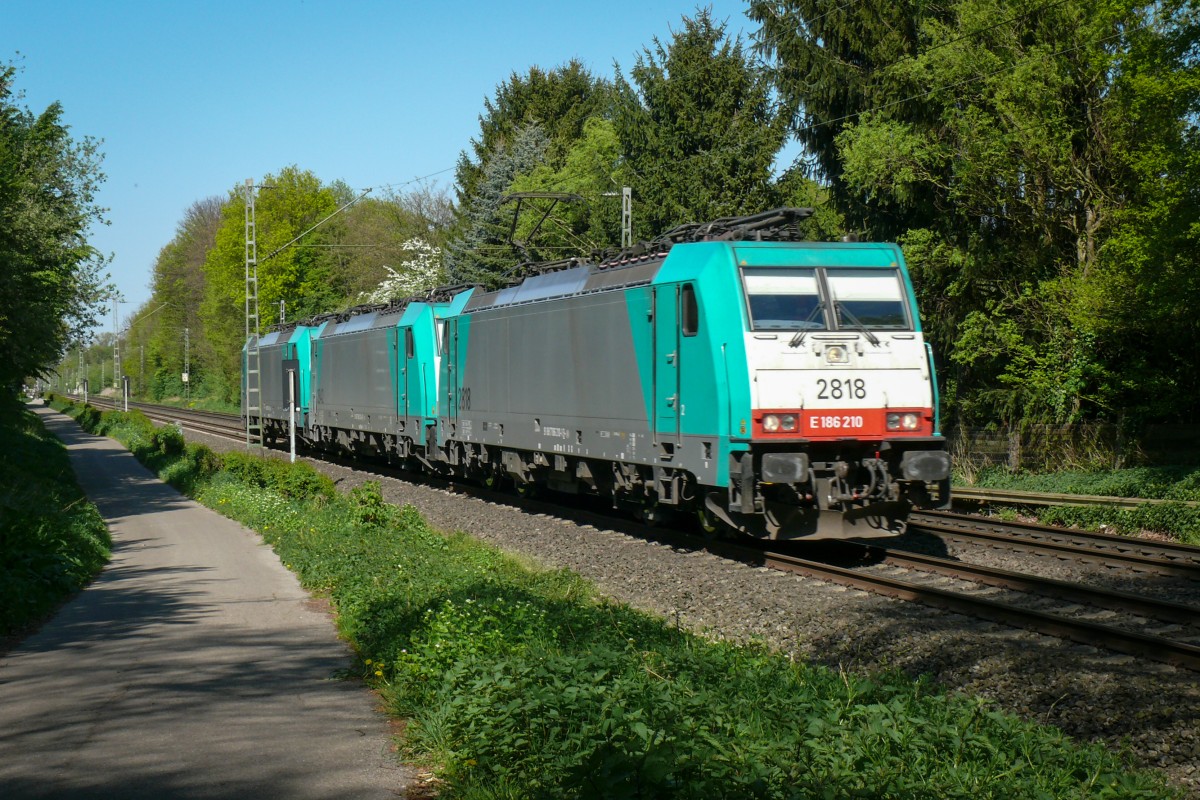 Cobra-Lok 2818 mit zwei Schwesterloks als Dreierlokzug auf dem Weg nach Aachen-West. Aufgenommen am 19/04/2014 an der KBS 485 nördlich vom Übach-Palenberg.