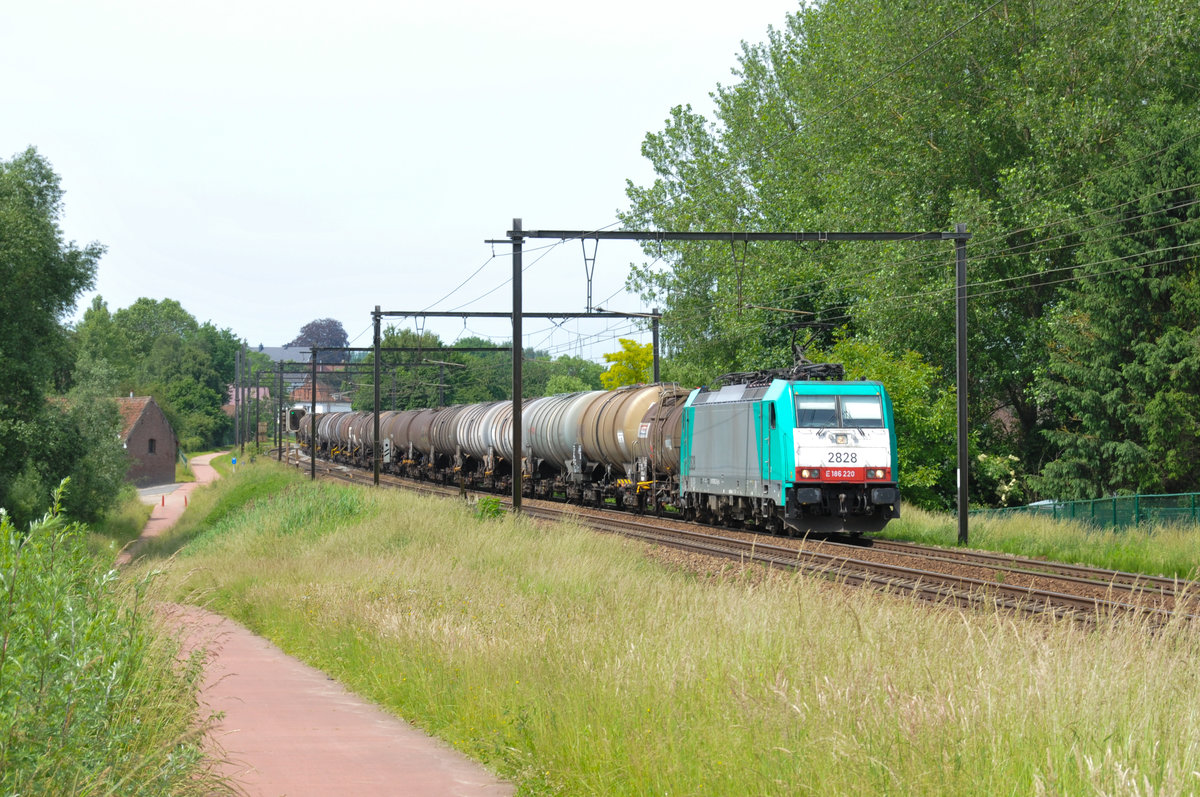 Cobra-Lok 2828 (186 220) zieht ein Kesselwagenzug durch Hoeselt Richtung Aachen-West. Aufnahme vom 10/06/2016.