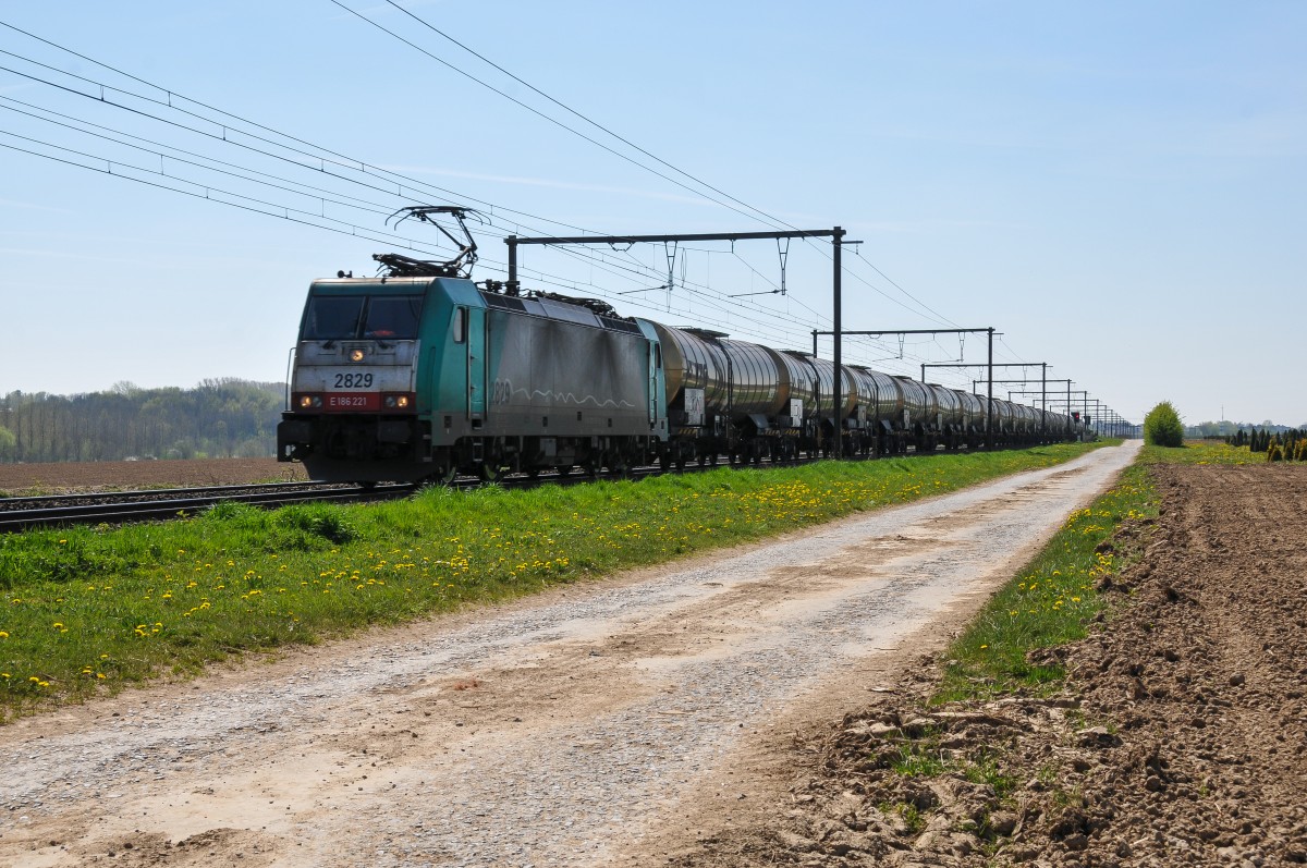 Cobra-Lok 2829 (186 221) zieht einen Kesselwagenzug von Aachen-West kommend in Richtung Antwerpen. Hier aufgenommen am 21/04/2015 kurz hinter Tongeren.