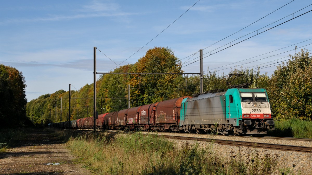 Cobra- Lok 2839 (186 231) zieht einen langen Güterzug Richtung Aachen-West. Aufgenommen am 18/10/2014 bei Remersdael.