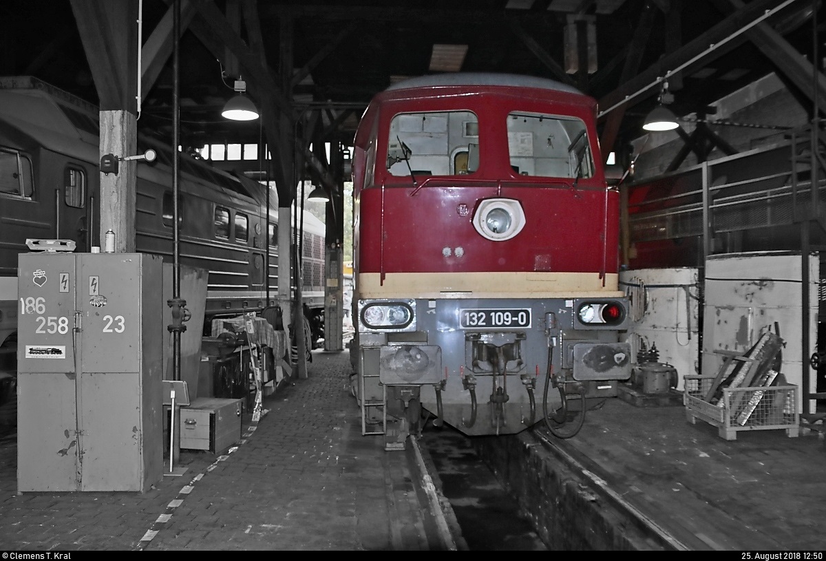 Colorkey-Experiment mit 232 109-9 (132 109-0) der Leipziger Eisenbahnverkehrsgesellschaft mbH (LEG), die anlässlich des Sommerfests unter dem Motto  Diesellokomotiven der ehemaligen DR  im Ringlokschuppen des DB Musems Halle (Saale) steht.
[25.8.2018 | 12:50 Uhr]