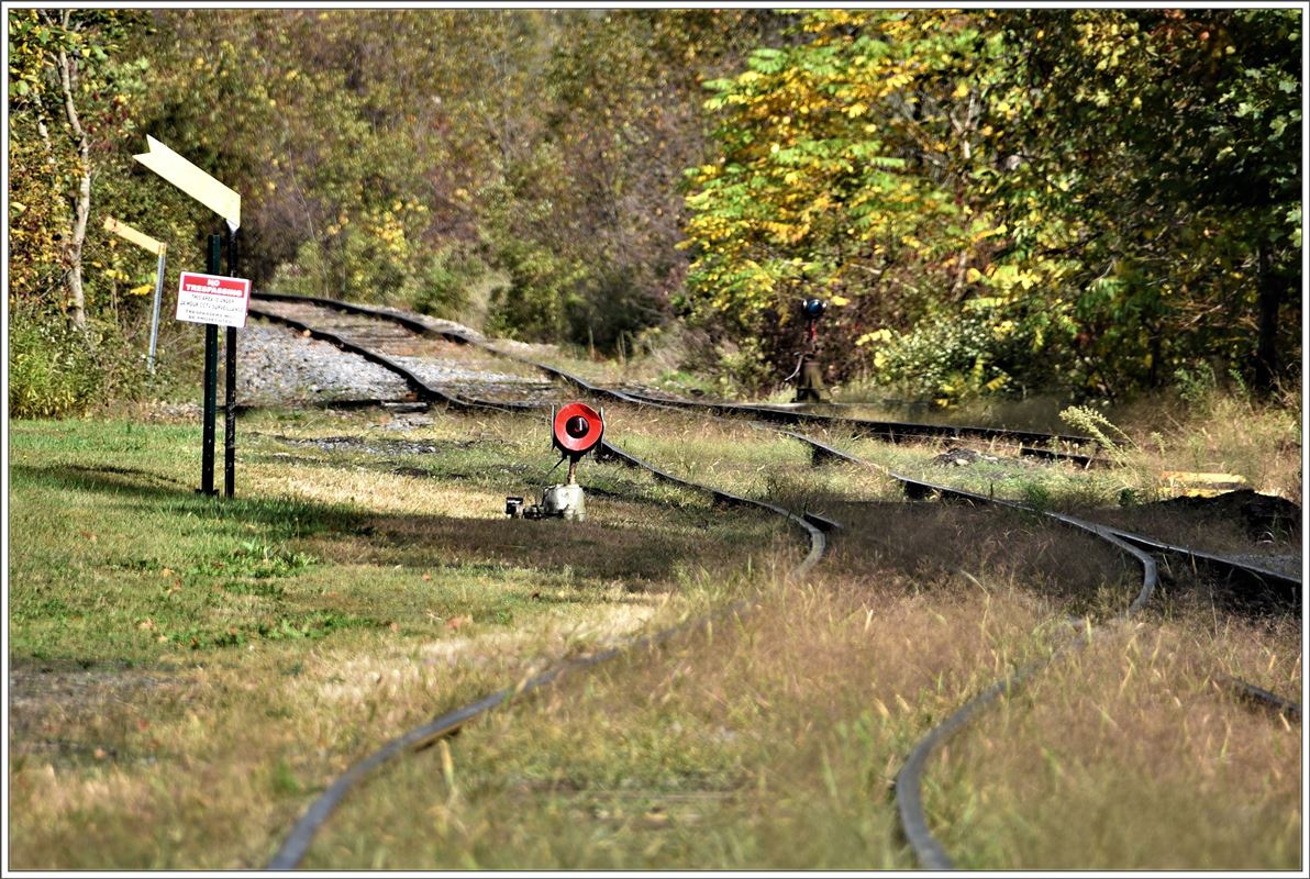 Cooperstown and Charlotte Valley Railroad. In ziemlich wackeligem Zustand scheinen auch die Geleise Richtung Cooperstown zu sein. (08.10.2017)