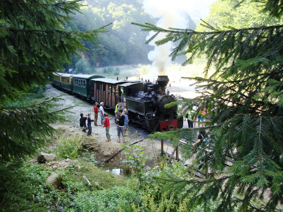 Cozia-1,Nr.764 408,Waldbahnlok der CFF (Caile Ferata Forestiere).Beim Wasserfassen an der Vaser,Maramures. 9.8.13.