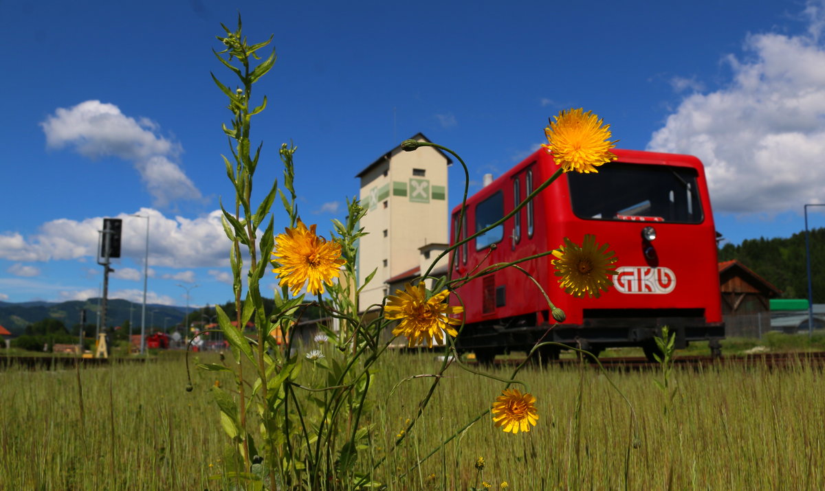 Crescencia in Wies Eibiswald bei schönstem Sommer Wetter 25.05.2017 