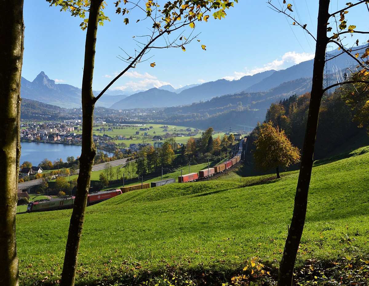 Crossrail bei Arth am Zugersee
3. November 2014