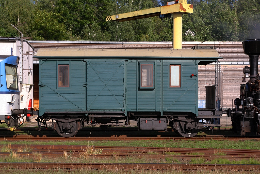 CZ-CD 55 54 93-20 251-2 Da am 09.August 2019 im Bahnhof Telc.