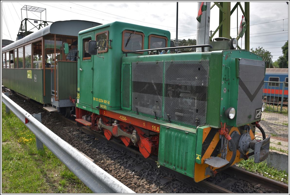 D04-601 der Waldbahn Szob - Márianosztra Kisvasút in Szob. (10.06.2018)