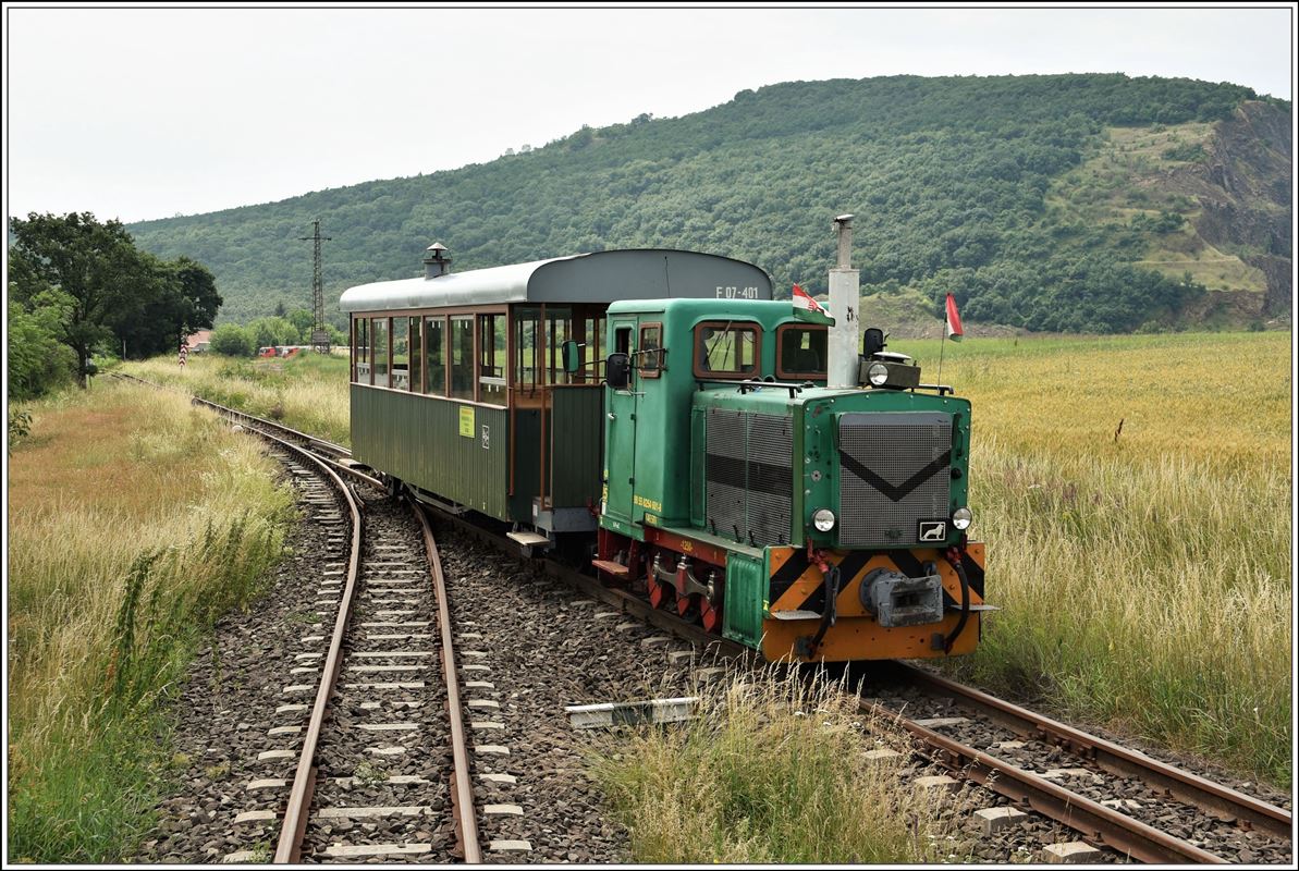 D04-601 der Waldbahn Szob - Márianosztra Kisvasút zwischen Szob und Márianosztra. (10.06.2018)