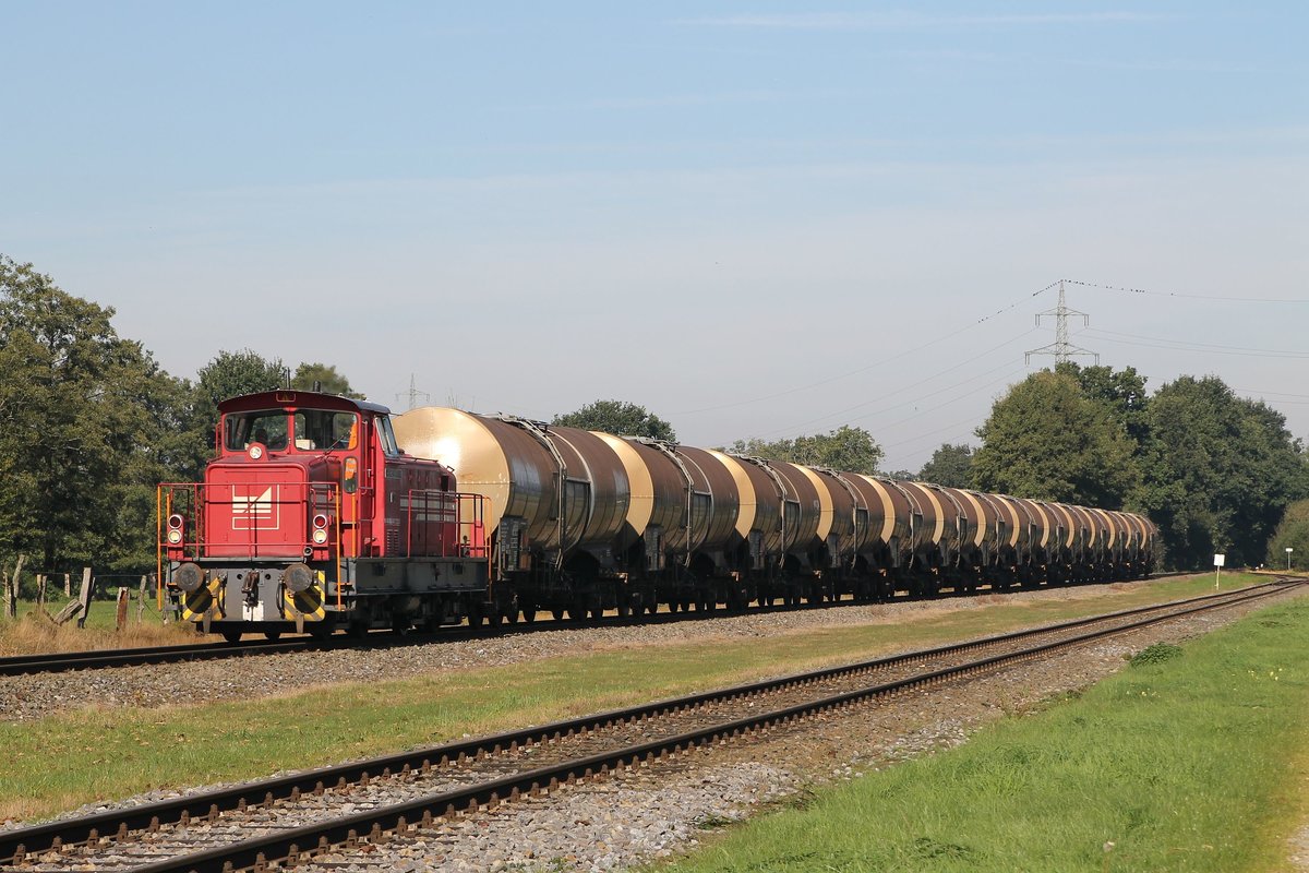 D22 der Bentheimer Eisenbahn AG (261 011-7, Baujahr: 1972) mit Güterzug 209 Coevorden de Heege-Osterwald in Esche am 2-10-2015.