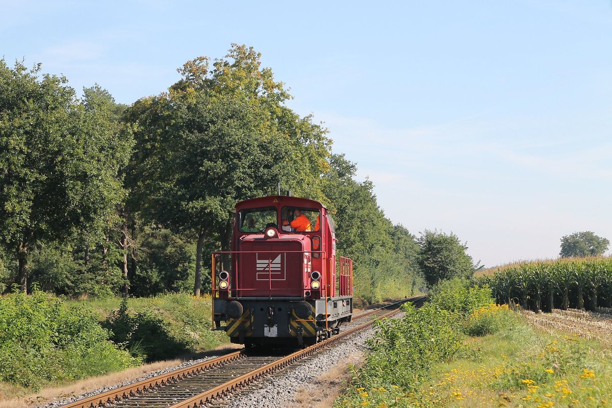 D22 der Bentheimer Eisenbahn AG (261 011-7, Baujahr: 1972) mit Güterzug 209 Osterwald-Coevorden de Heege bei Esche am 2-10-2015.
