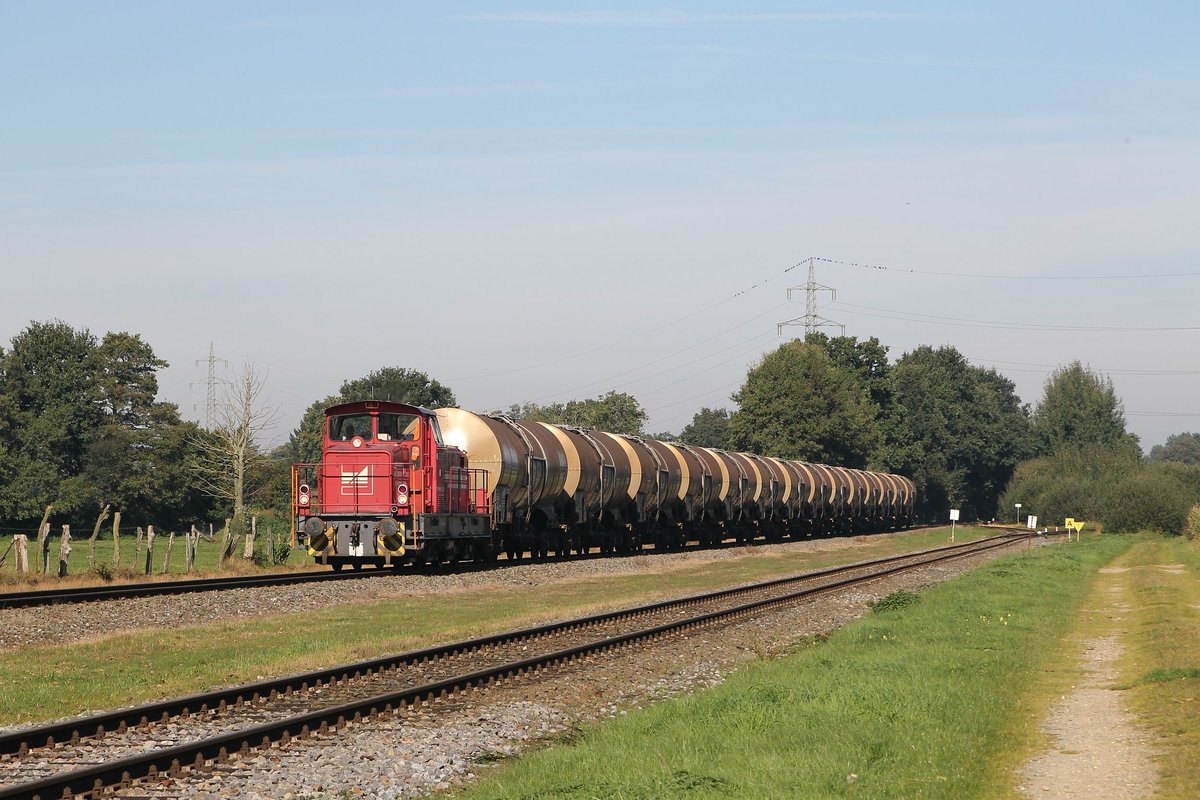 D22 der Bentheimer Eisenbahn AG (261 011-7, Baujahr: 1972) mit Güterzug 209 Coevorden de Heege-Osterwald in Esche am 2-10-2015.
